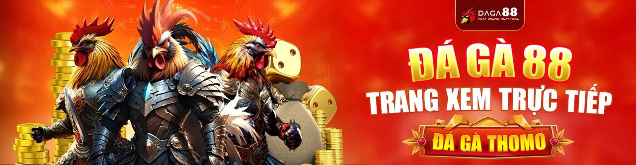 Tải xuống ứng dụng Raybet chính thức cho cá cược thể thao và casino di động